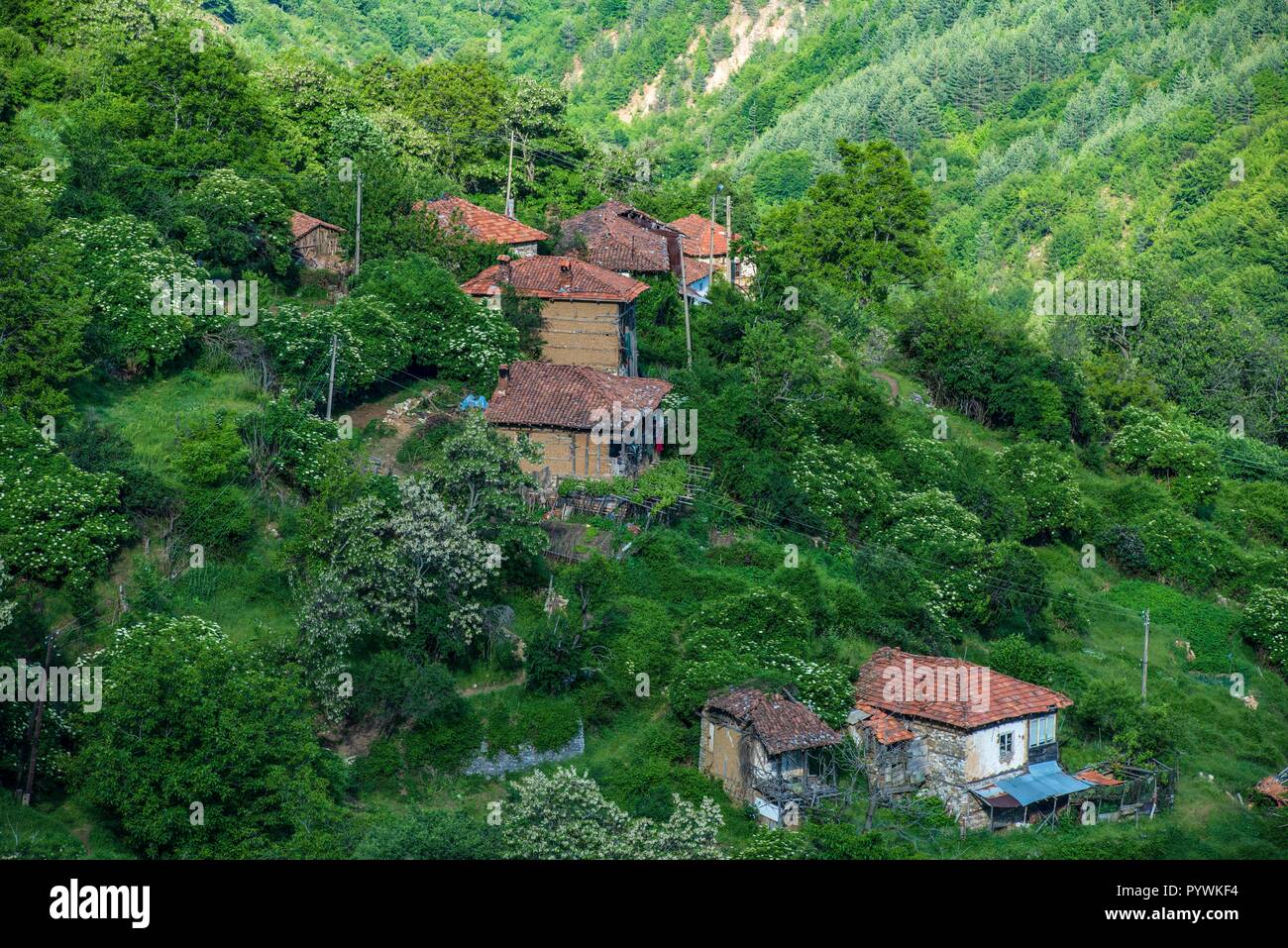 BULGARIA. Many people in the Balkan mountains maintain a self sufficiant life in small houses scattered in remote valleys Stock Photo