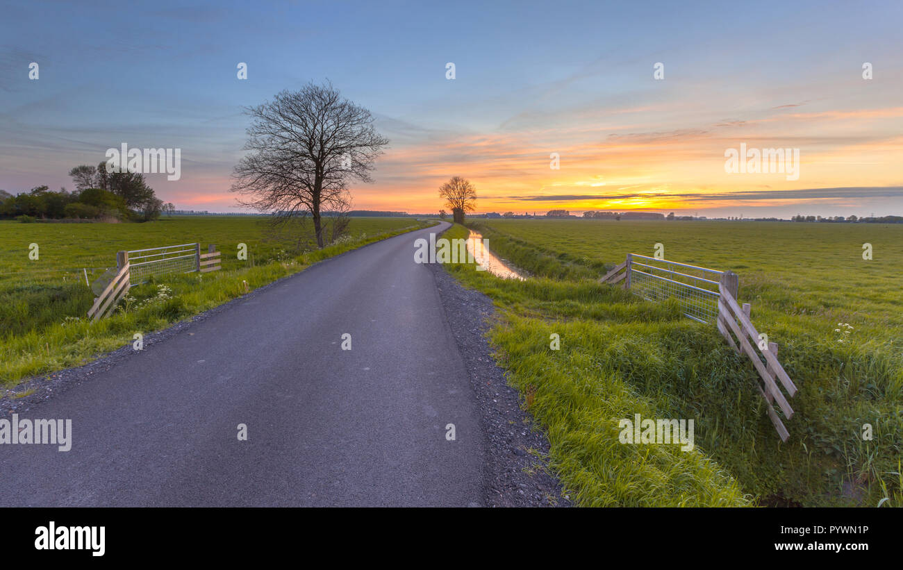 Road through Groningen countryside at sunset near Bedum, Netherlands Stock Photo