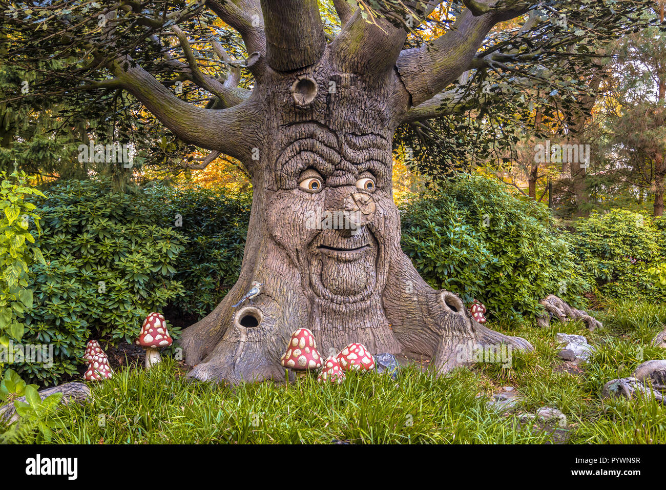 Talking tree with happy face as a concept for environmental awareness Stock Photo