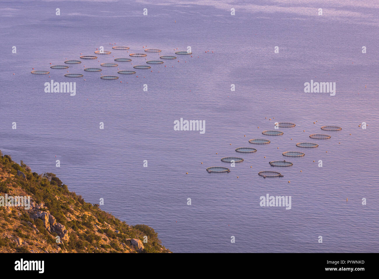 Fish farm nets in open sea overview seen from above. Some of the basins ...