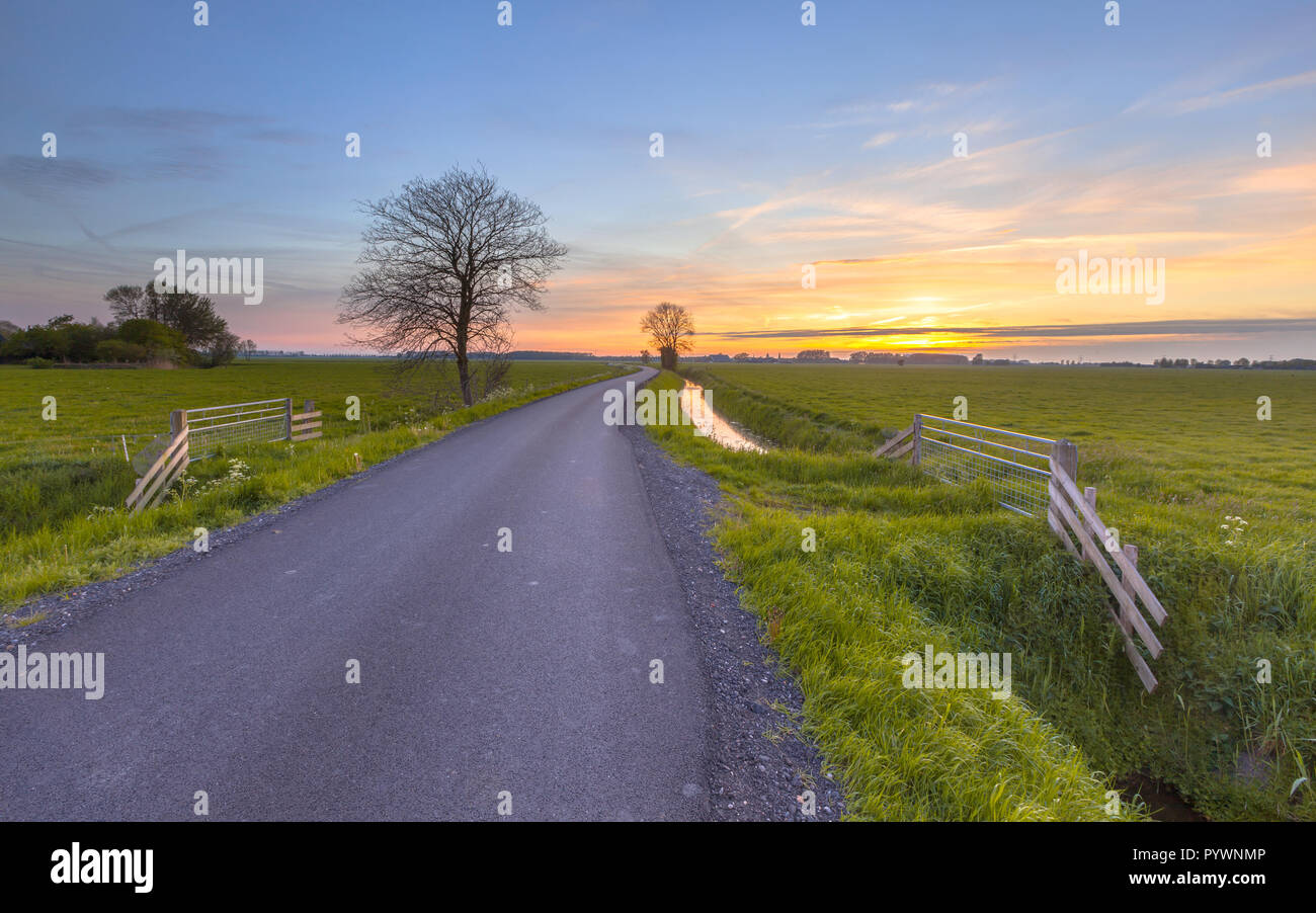 Road through Groningen countryside near Bedum, Netherlands Stock Photo
