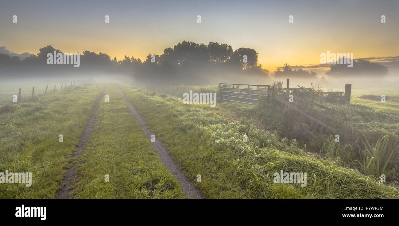Foggy farmland with dirt track and gate and fences during sunrise in september, Drenthe Netherlands Stock Photo