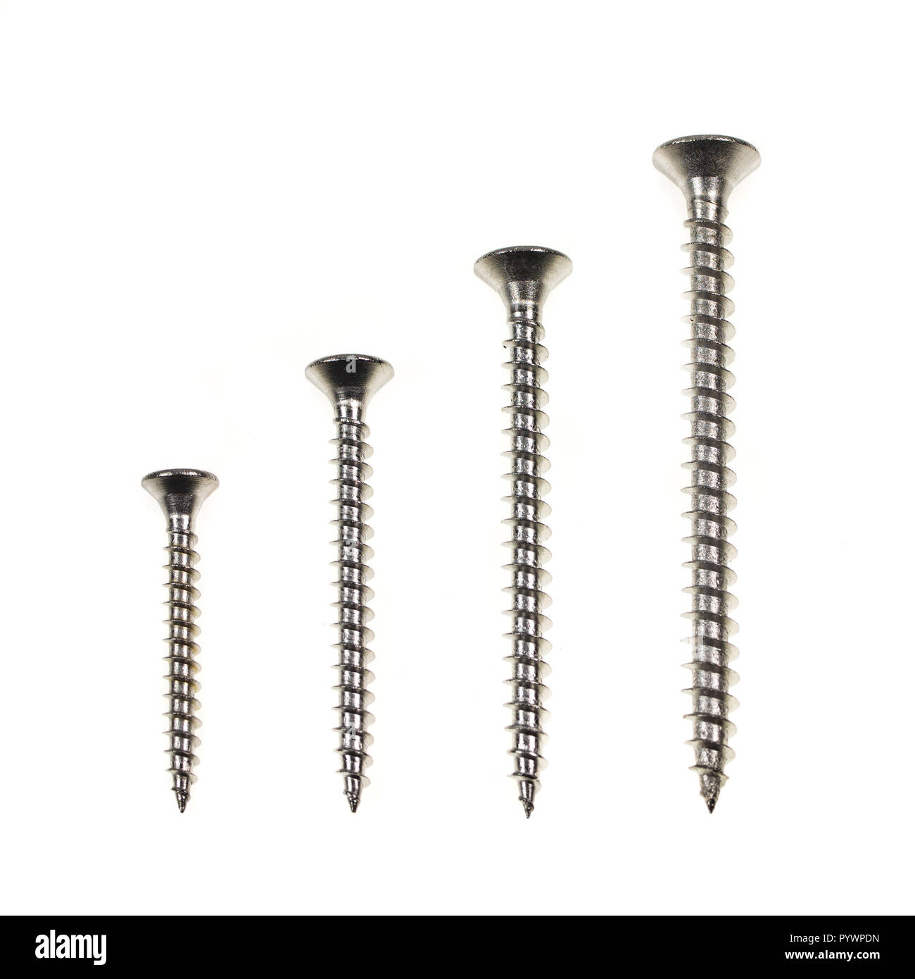 Different Sizes of Stainless Steel Wood screws in a Row on White