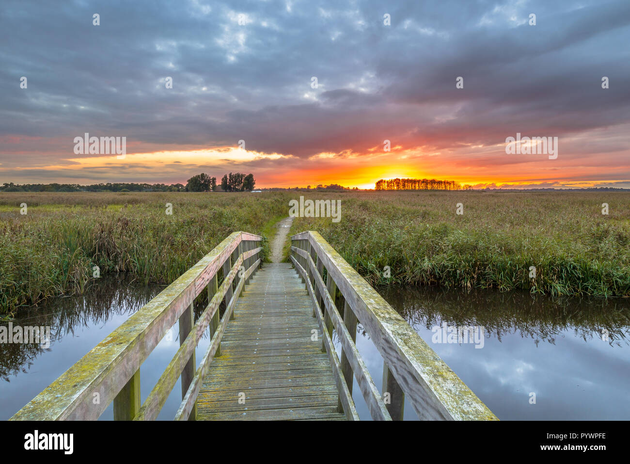Wooden bridge towards sunset as a concept for adventure and exploration Stock Photo