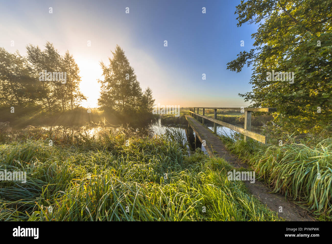 Footbridge crossing river to the bright side on a foggy morning around sunrise. Stock Photo