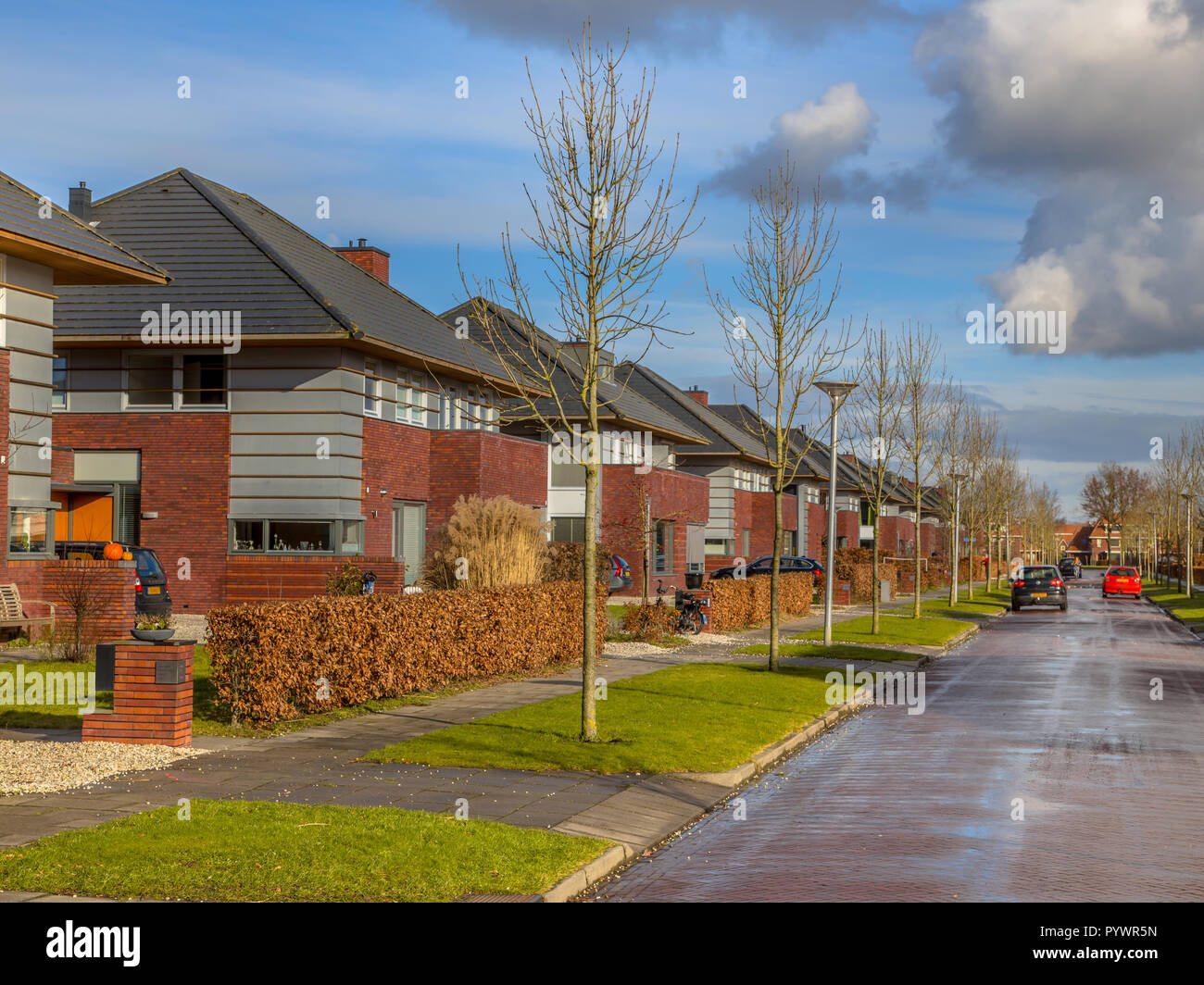 Detached dutch family houses with gardens along a suburban street in