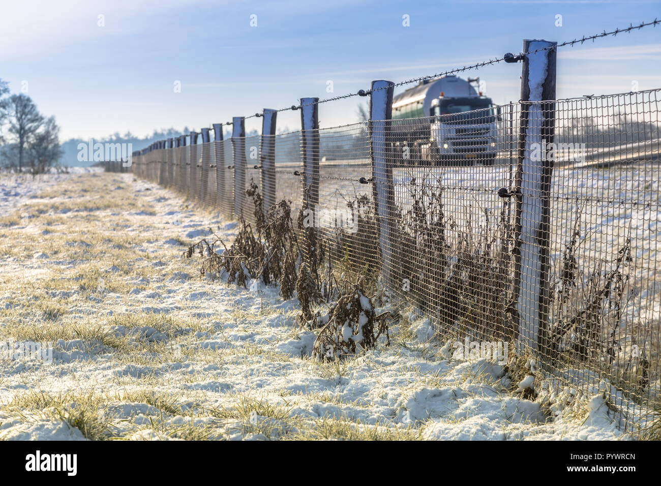Wildlife fence to keep animals like badgers off the road Stock Photo