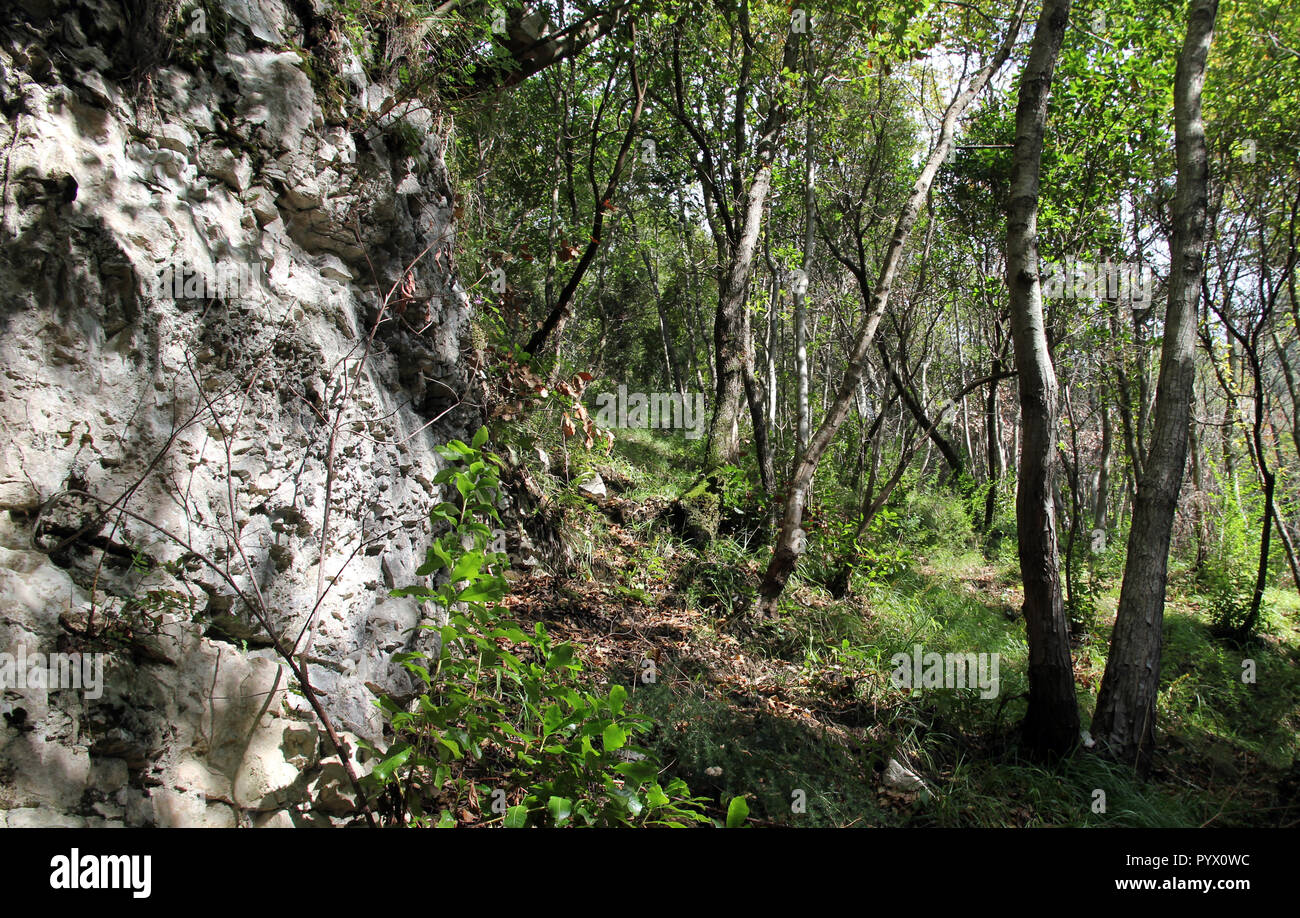 forest limestone gorge Campania Italy Stock Photo