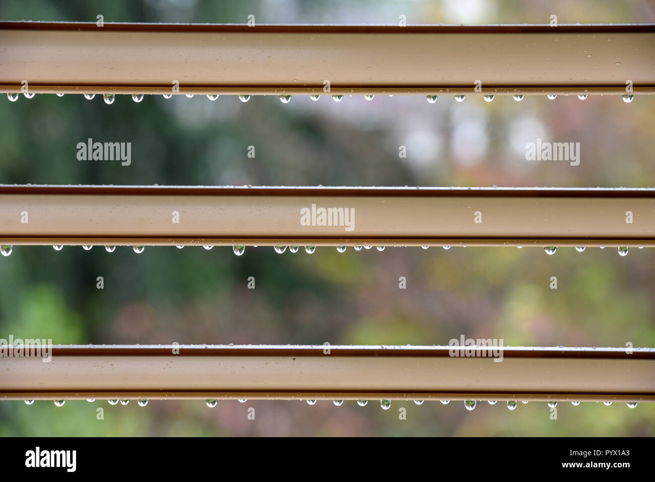 Looking outside through open blinds with raindrops on a rainy day Stock Photo