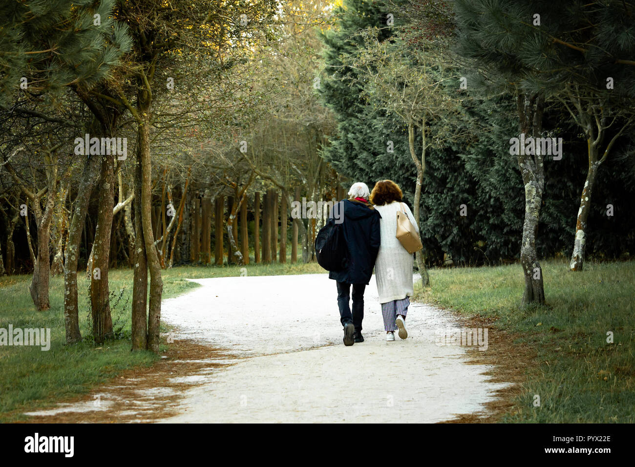 A middle-aged couple walks in the park. Back view, bag, purse. Stock Photo