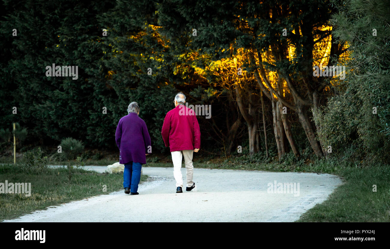 A seniour couple walks in the park with some warm light in the trees. Stock Photo