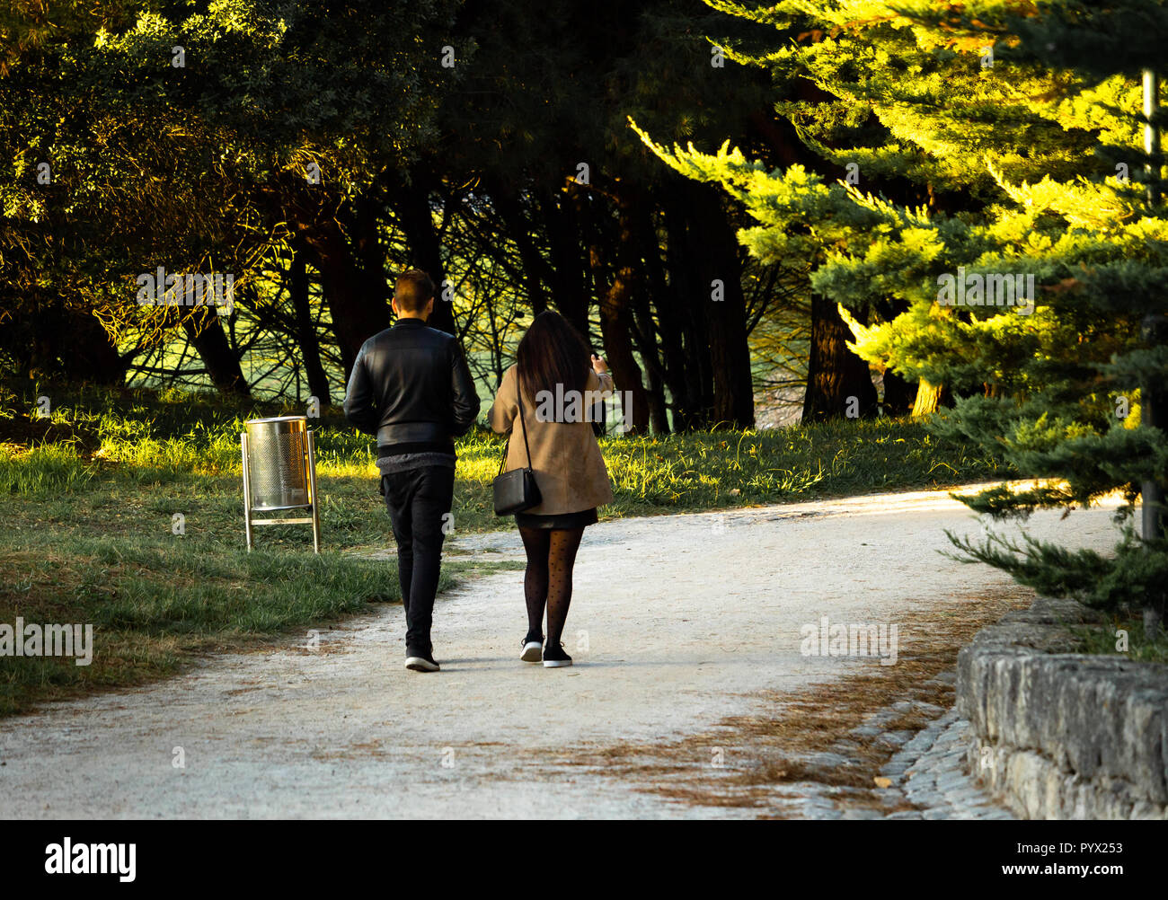 A young couple walks in the park with warm light in the trees. Back ...