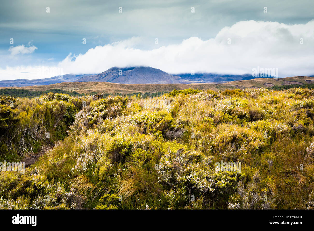 Scenic view of Tongariro national park in New Zealand Stock Photo