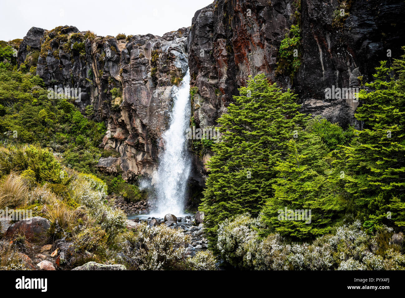 View of  a waterfall in Tongariro national park in New Zealand Stock Photo
