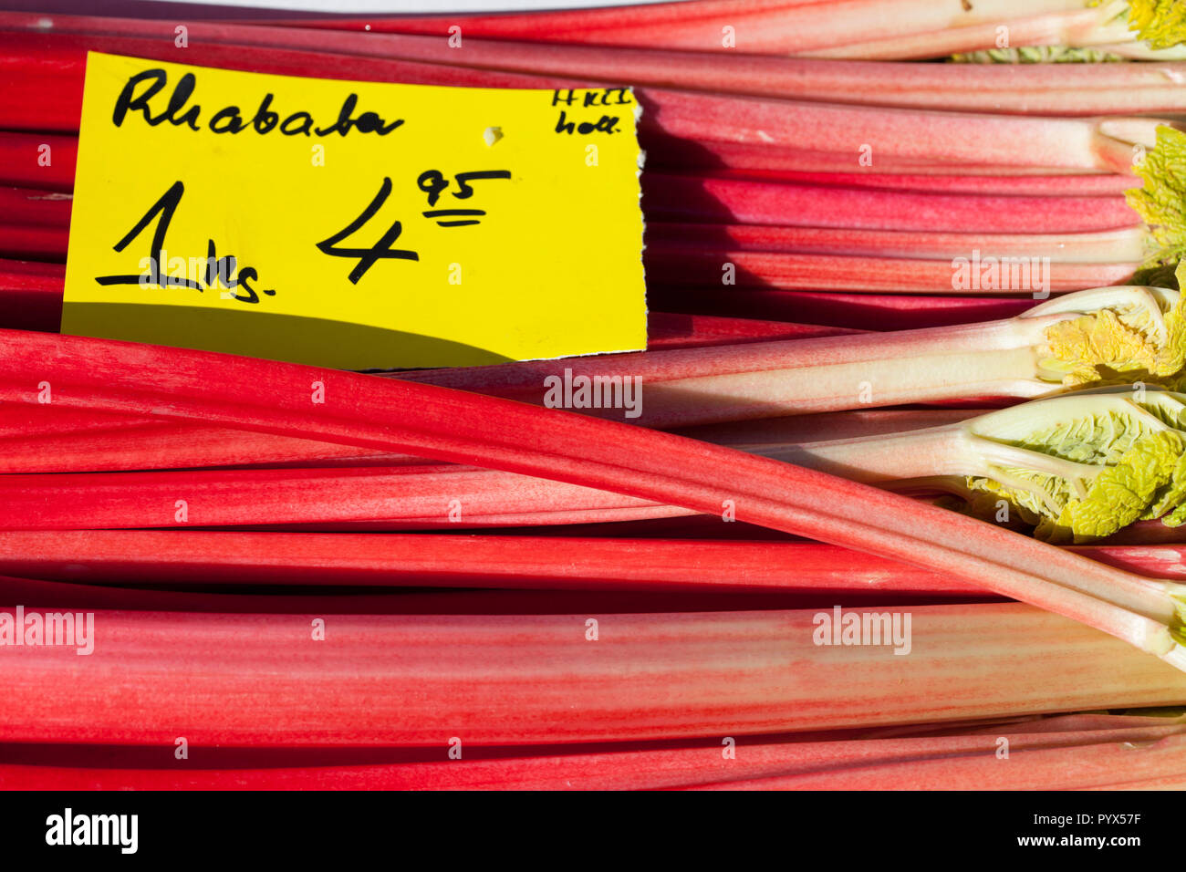 Red rhubarb with price tag on a market stall, Germany, Europe   I Roter Rhababer mit Preisschild auf einem Marktstand, Deutschland, Europa I Stock Photo