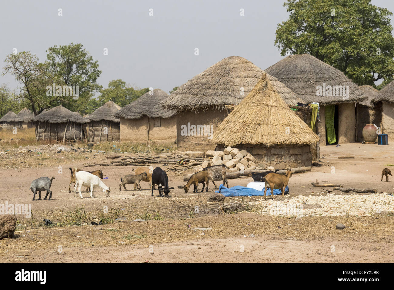 Village Life in Ghana 