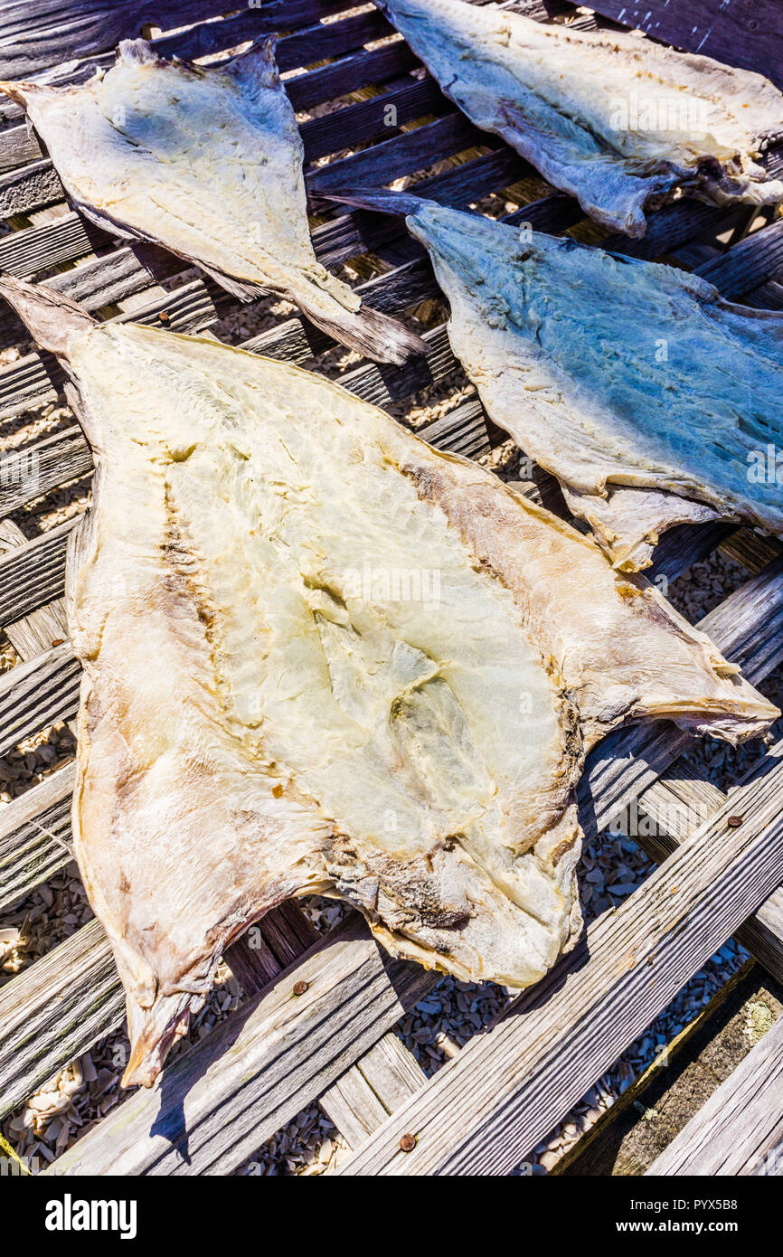 Fish Flakes Mystic Seaport   Mystic, Connecticut, USA Stock Photo