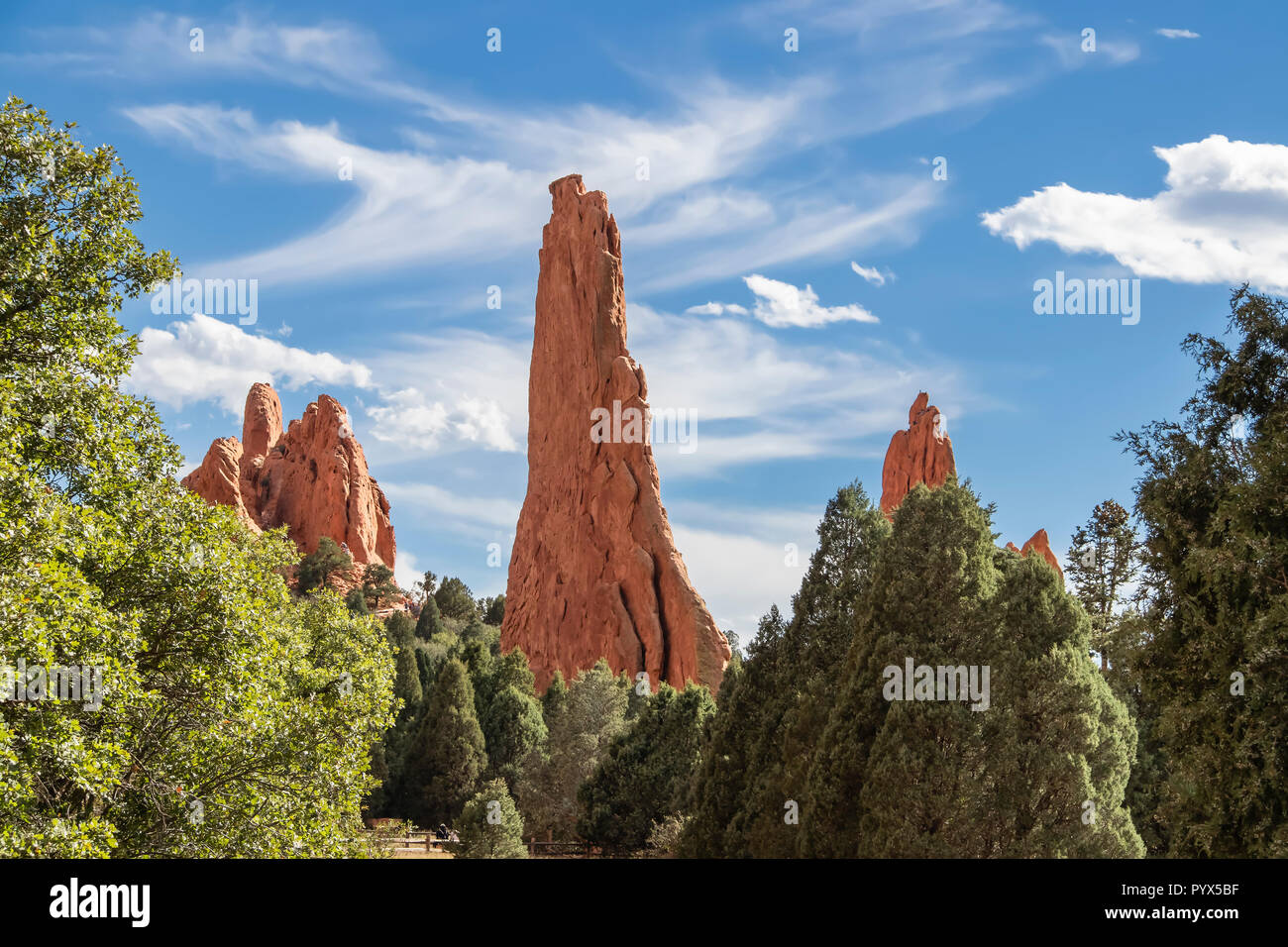 Towering red rock formations jut out of the ground to a height of 300 ft against a dramatic sky and surrounded by evergreen trees in the Garden of the Stock Photo