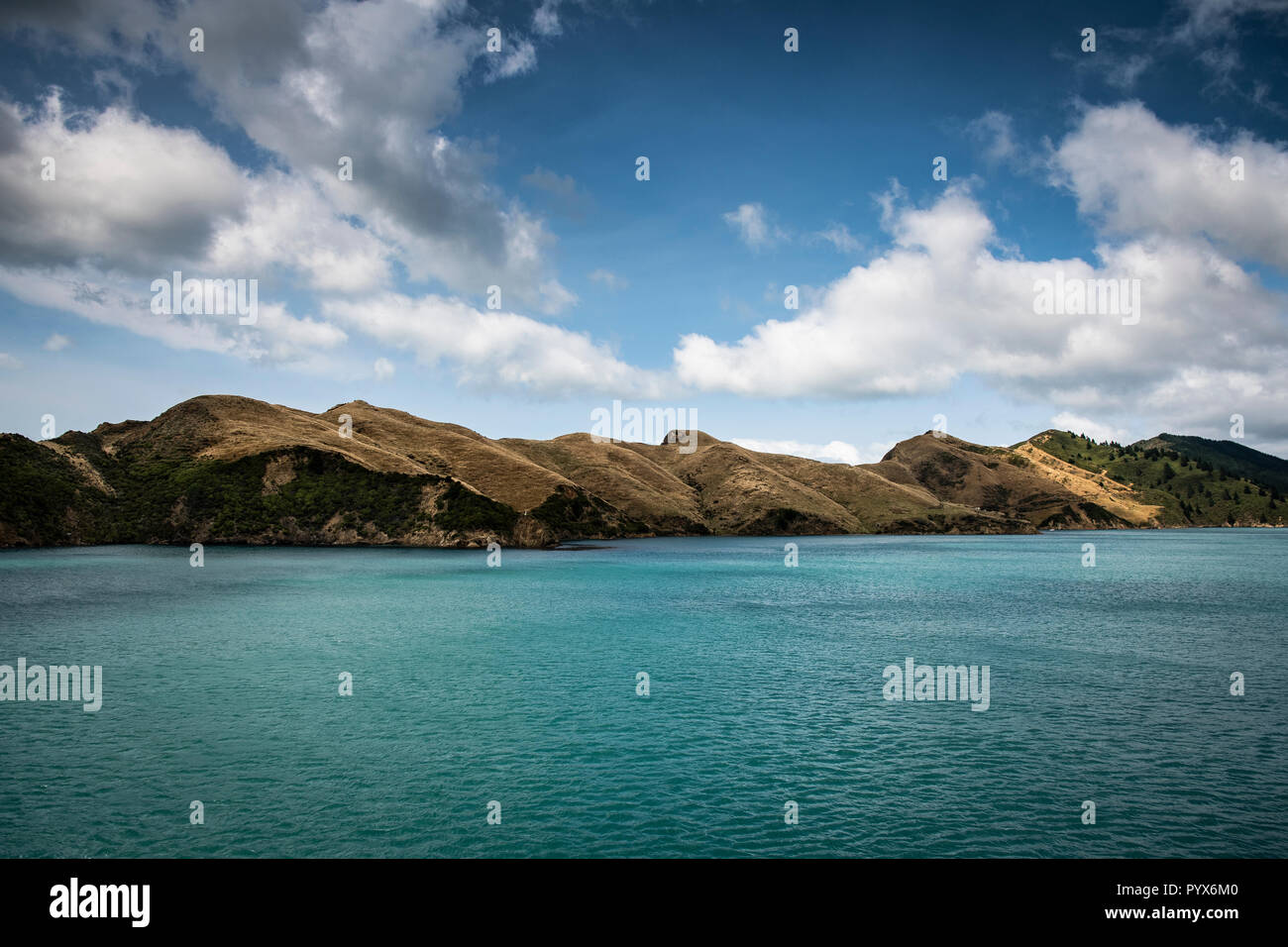 New Zealand crossing between north and south island Stock Photo Alamy