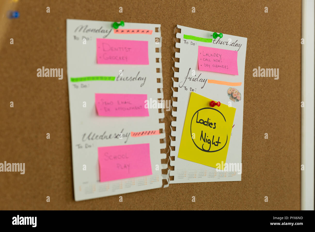 Planner with a busy week. On a weekend planned girls/ladies night out ...