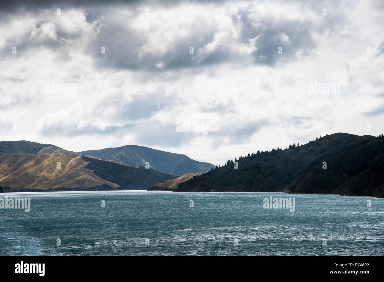 New Zealand crossing between north and south island Stock Photo