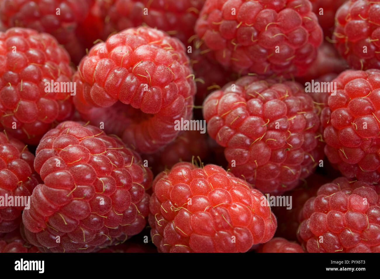 Close up photo of fresh raspberries filling the whole image Stock Photo ...