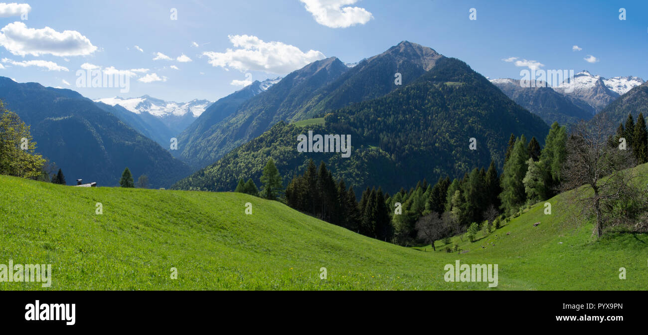 picture of Gruppo Adamello from Pinzolo Stock Photo