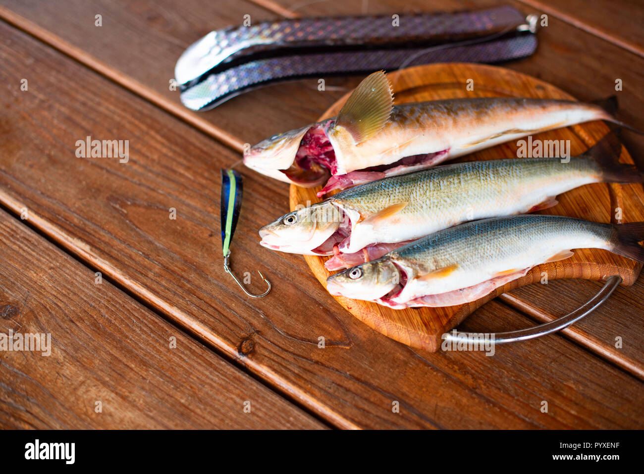 Fresh sea fish catch lies on a cutting Board on a wooden table. Top view copy space Stock Photo