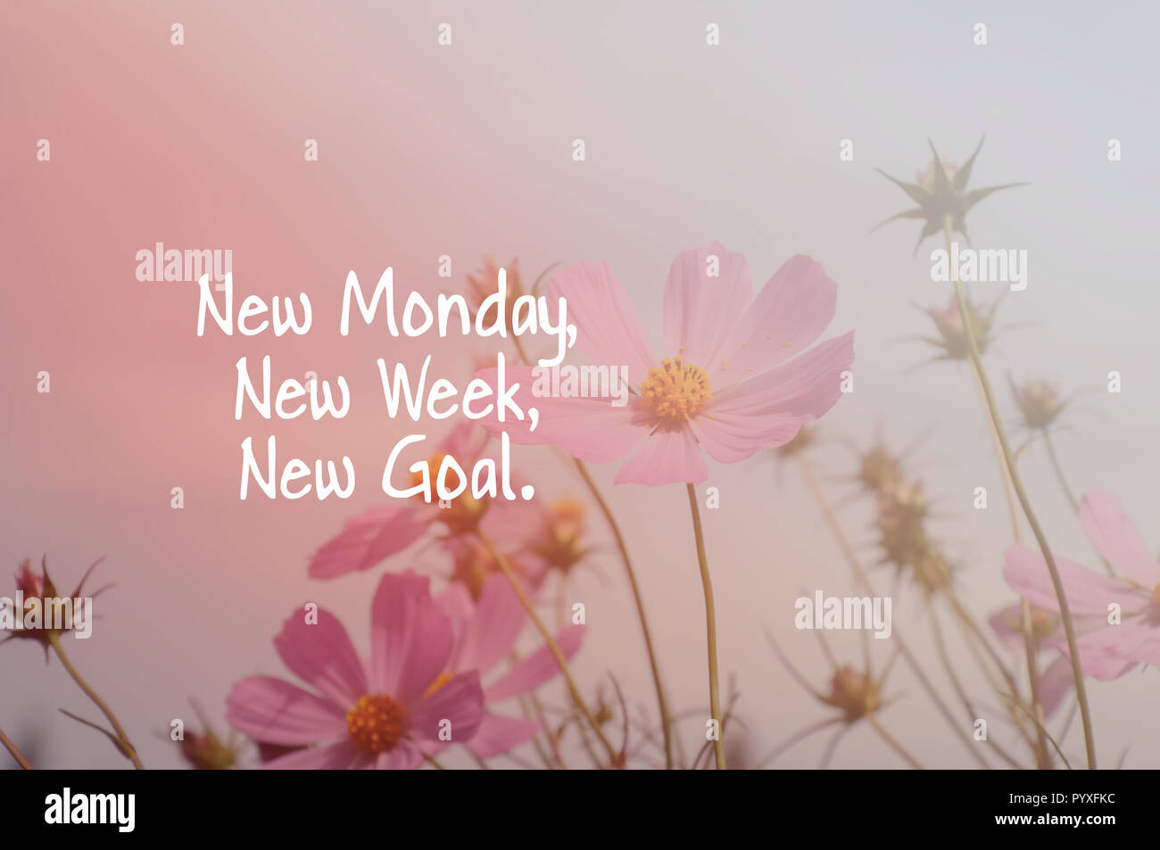Motivational New Week Quotes Inspirational Quotes - New Monday, New Week, New Goal Stock Photo - Alamy