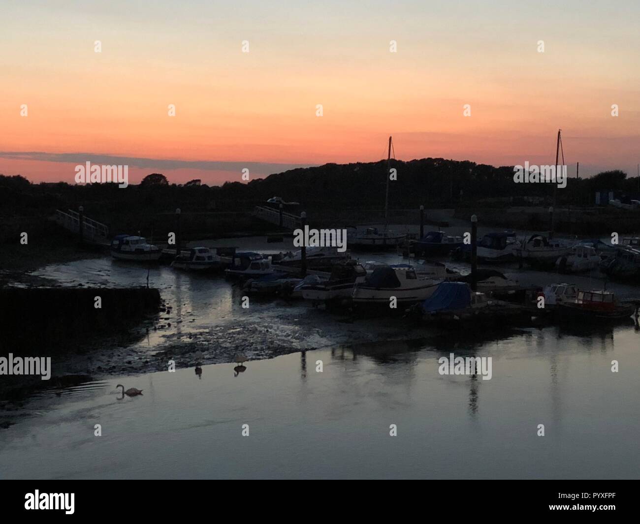 Littlehampton harbour at sunset with swans Stock Photo Alamy