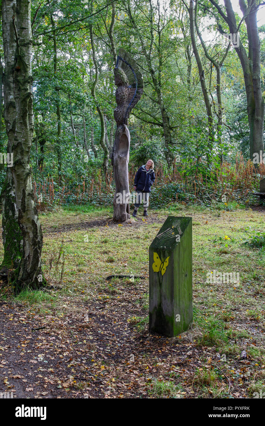 A wooden marker post with a carving of a yellow butterfly, Marbury Country park, part of the Mersey Forest, Cheshire, England, UK Stock Photo
