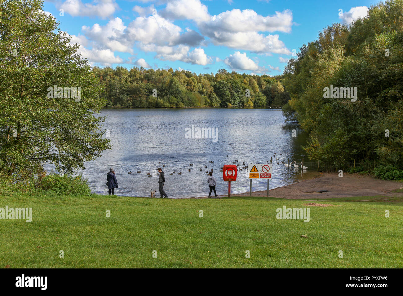 People feeding the birds at Marbury Country park, part of the Mersey Forest, Cheshire, England, UK Stock Photo
