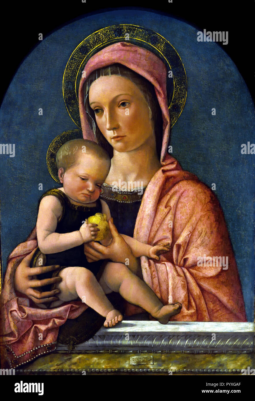 Madonna col bambino - Madonna and Child 1460-65  Giovanni Bellini ( 1430 –1516) 15-16th Century, Italy, Italian. Stock Photo