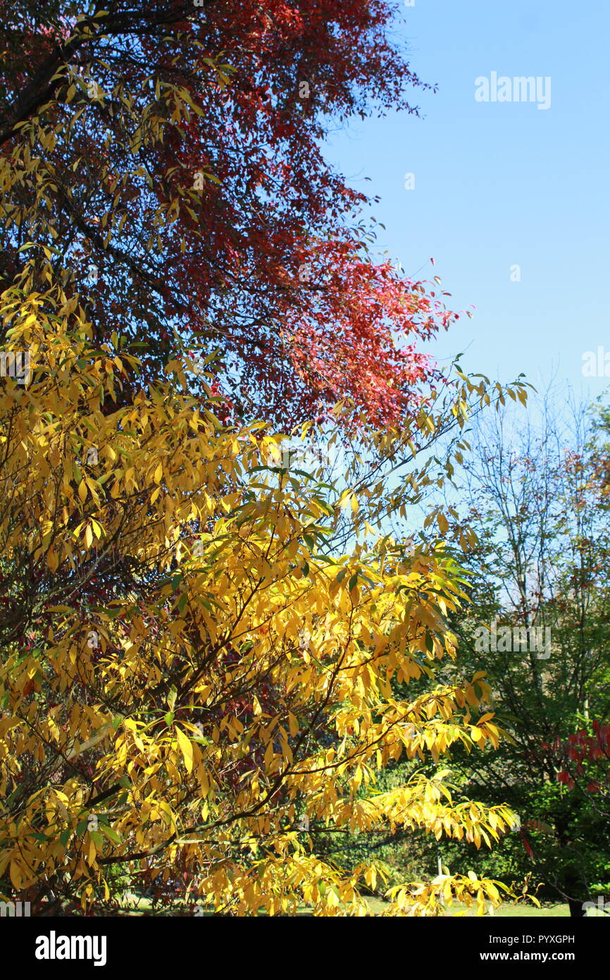 Red and orange colours hi-res stock photography and images - Alamy