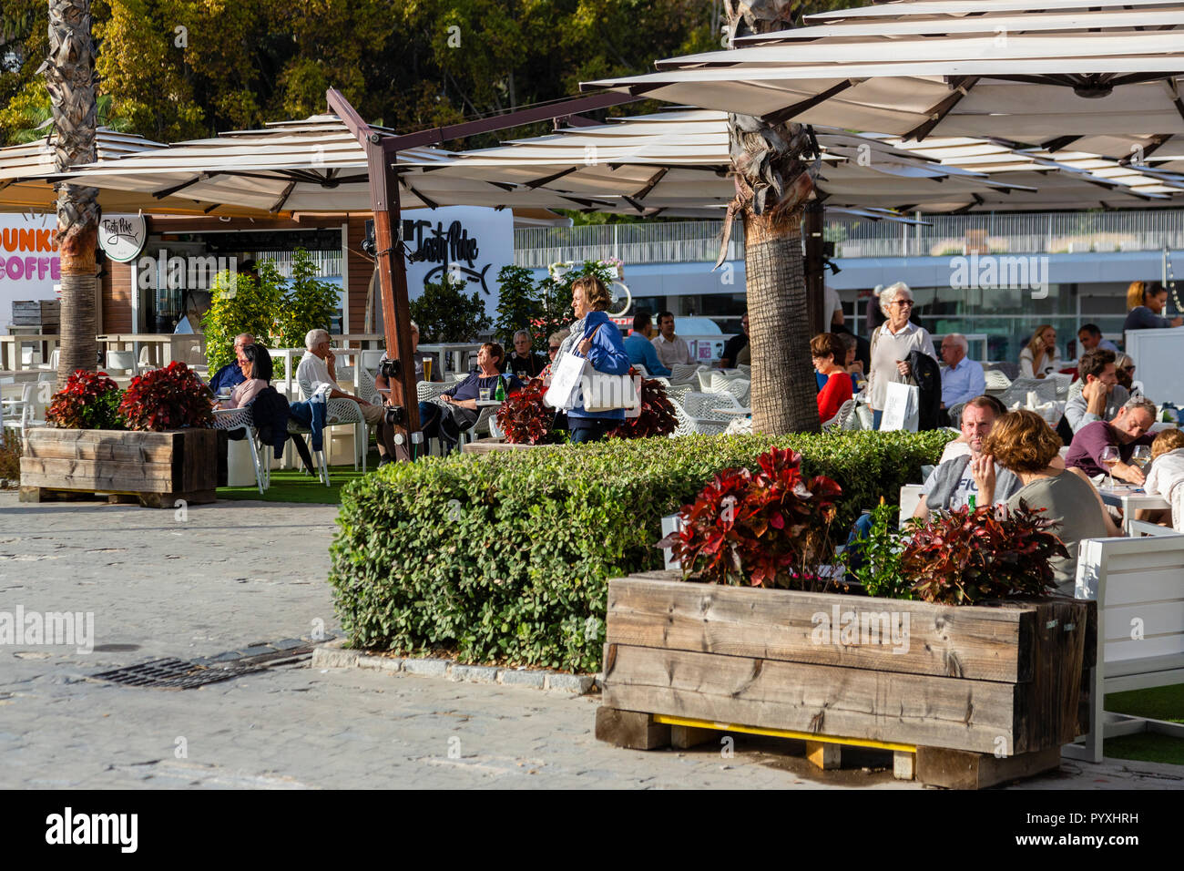 Cafes at Muelle Uno, Malaga waterfront, Spain Stock Photo Alamy