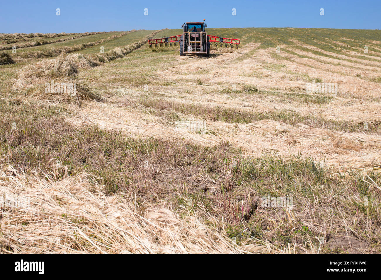 Tractor raking hay over sloped ground. Front view Stock Photo - Alamy