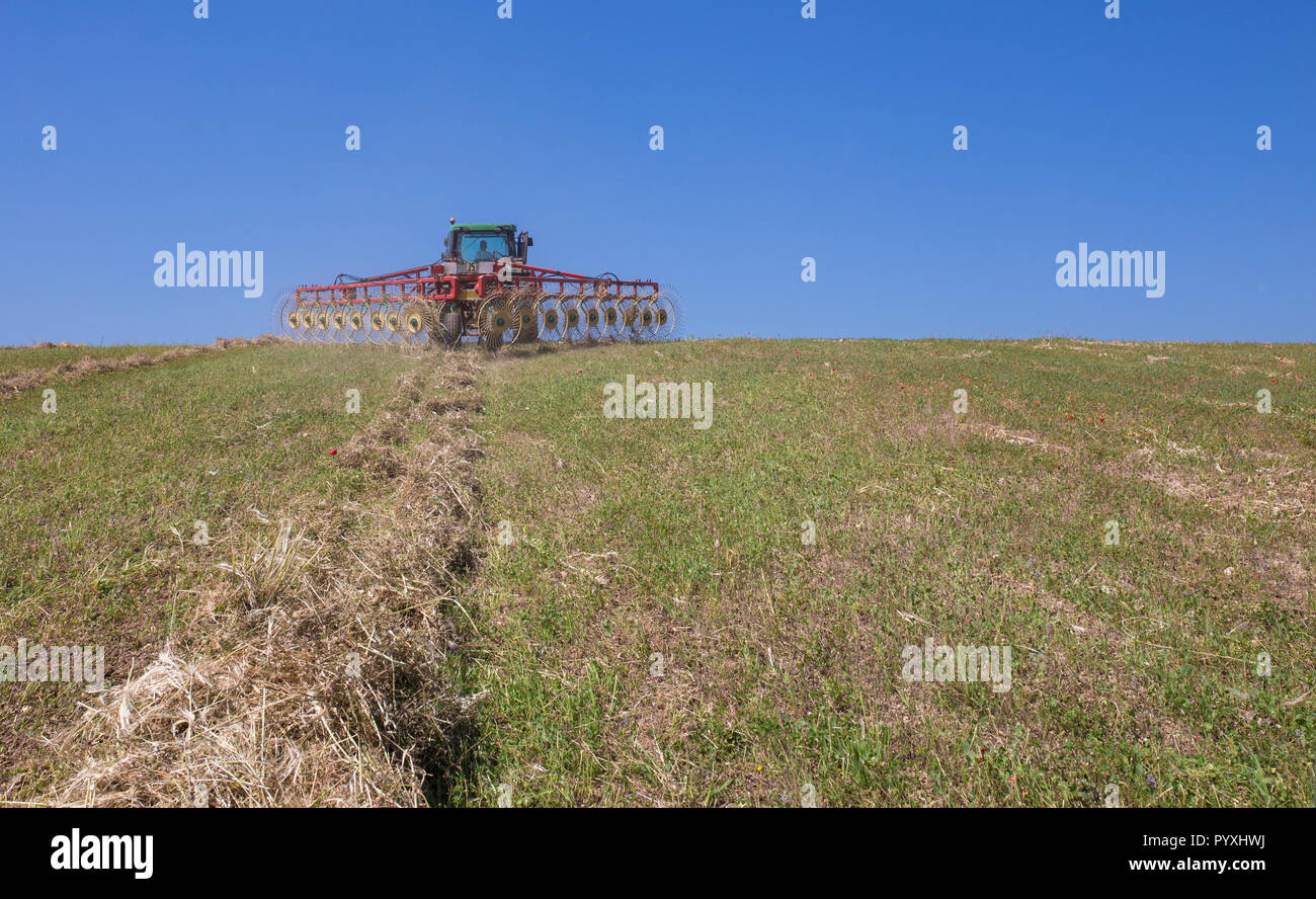 Tractor raking hay over sloped ground. Back view Stock Photo
