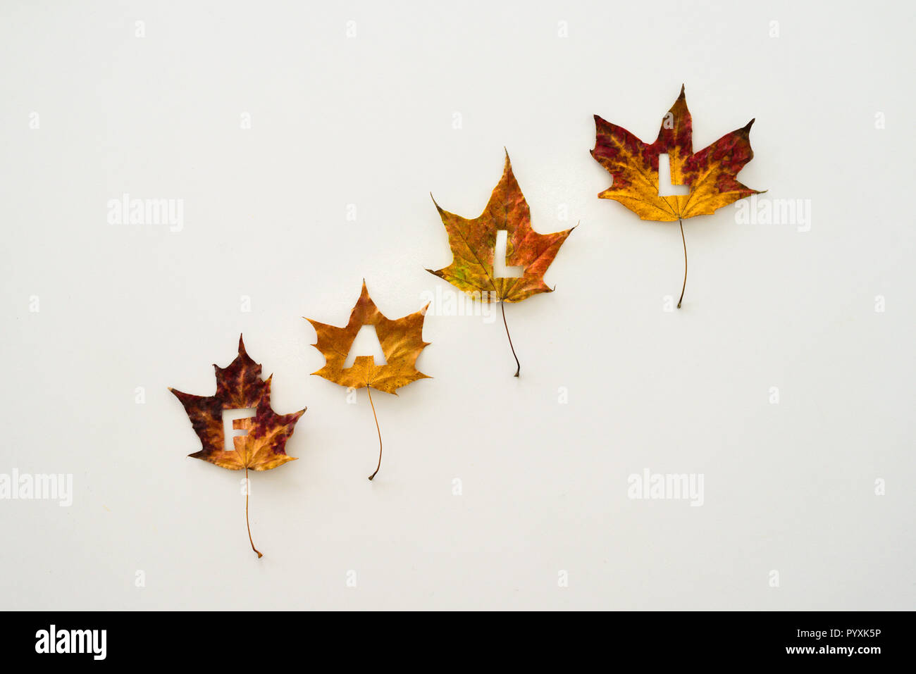 Colorful maple leaves with cutted out word FALL on white background Stock Photo