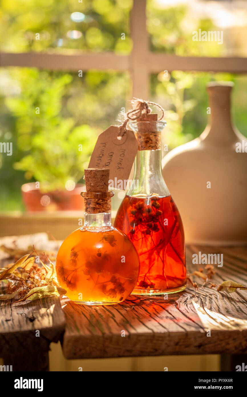 Fresh quince tincture made of honey and linden Stock Photo