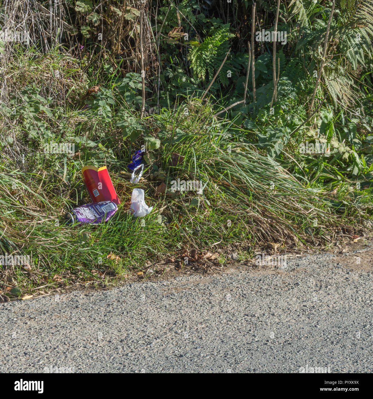 Stretch of litter-strewn country lane. Concept roadside litter UK. Keep Britain tidy, plastic waste in road. Stock Photo