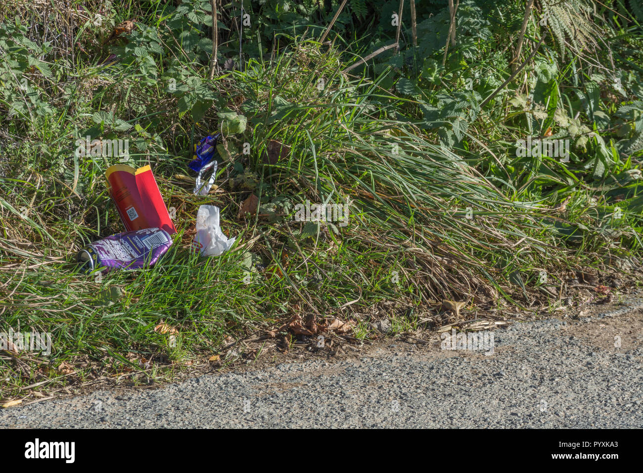 Stretch of litter-strewn country lane. Concept roadside litter UK. Keep Britain tidy, plastic waste in road. For Clean Up Britain campaign. Stock Photo