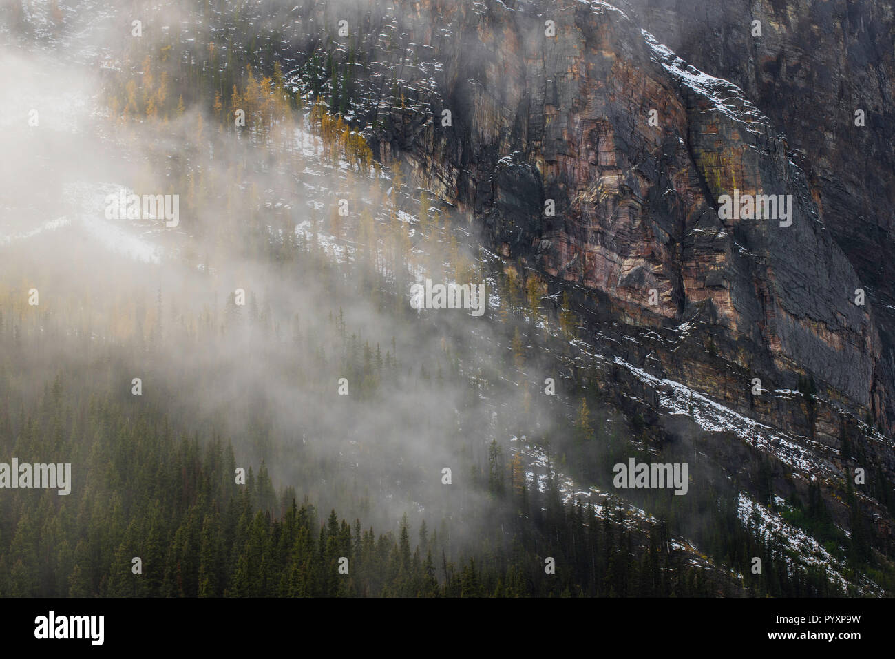 Mountains above Lake Louise, Banff NP, Alberta, Canada, by Bruce Montagne/Dembinsky Photo Assoc Stock Photo
