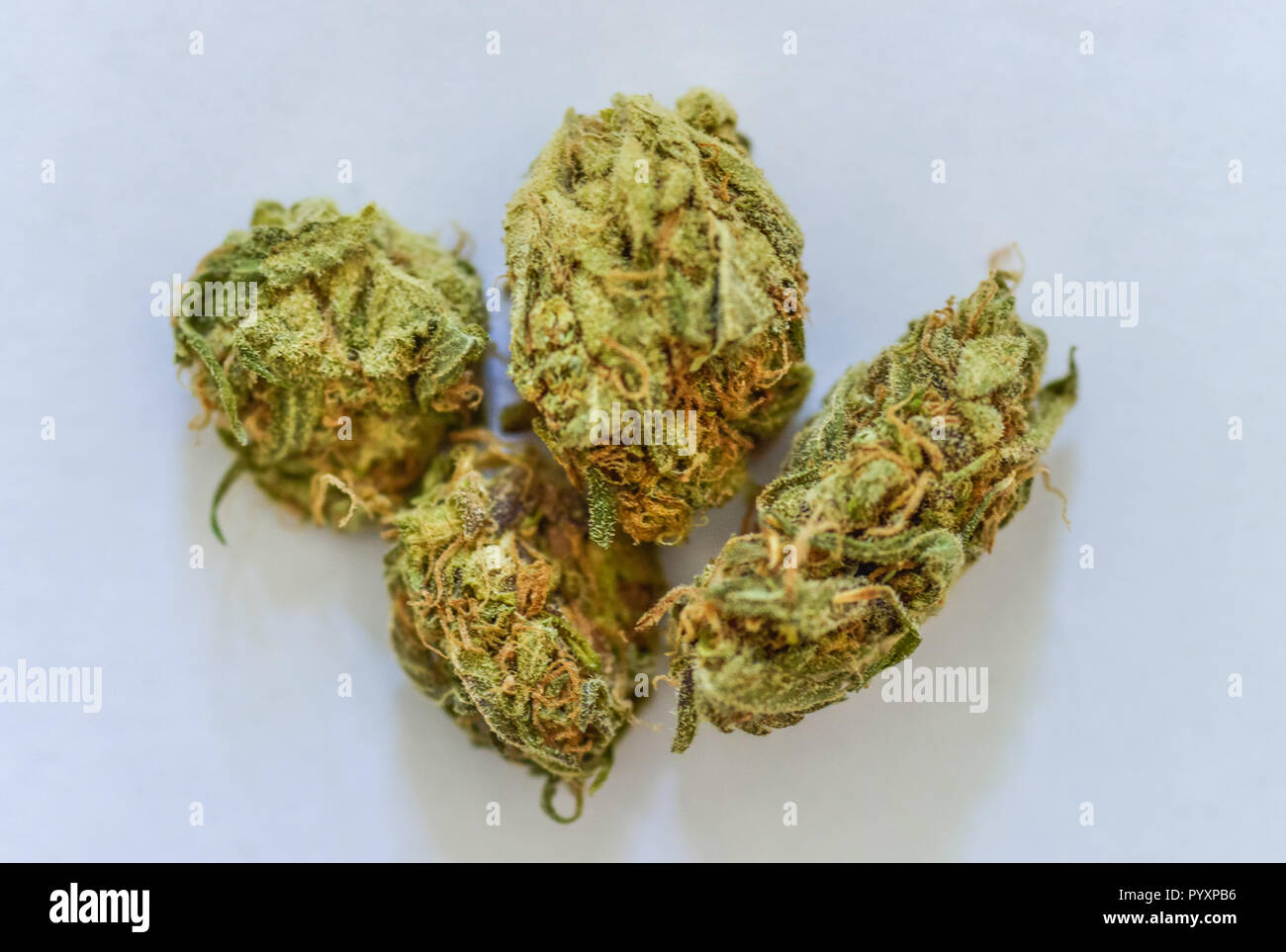Cannabis, drug, blossoms, Droge, Blueten Stock Photo