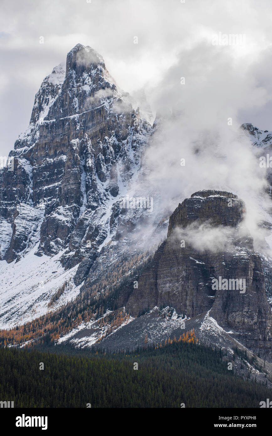 Canadian Rockies, Banff NP, Alberta, Canada, by Bruce Montagne/Dembinsky Photo Assoc Stock Photo