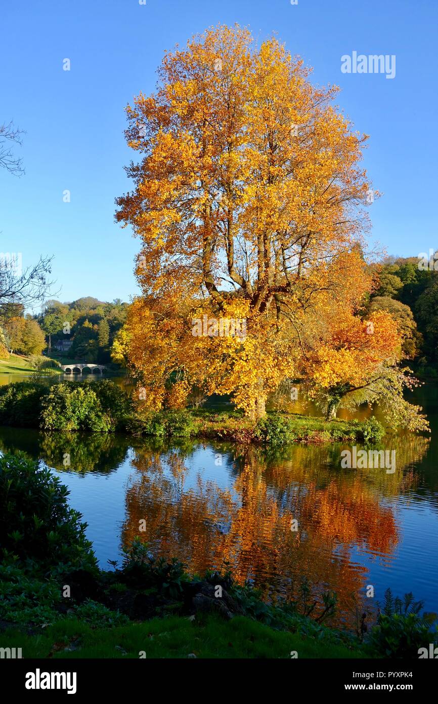 Autumn at Stourhead lake and gardens Stock Photo