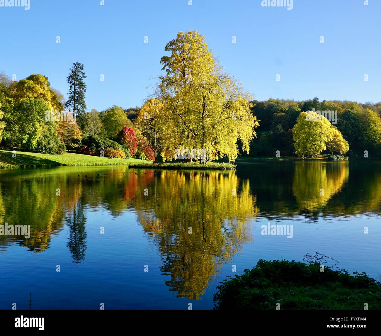 Autumn reflections at Stourhead lake and gardens Stock Photo
