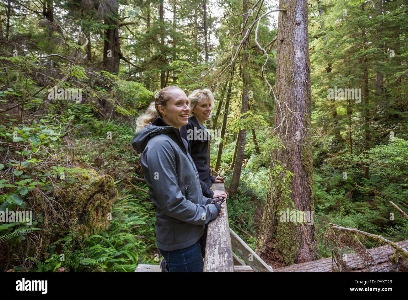 North America, Canada, British Columbia, Vancouver Island, Pacific Rim National Park Reserve,  two female tourists hiking on the rainforest trail Stock Photo