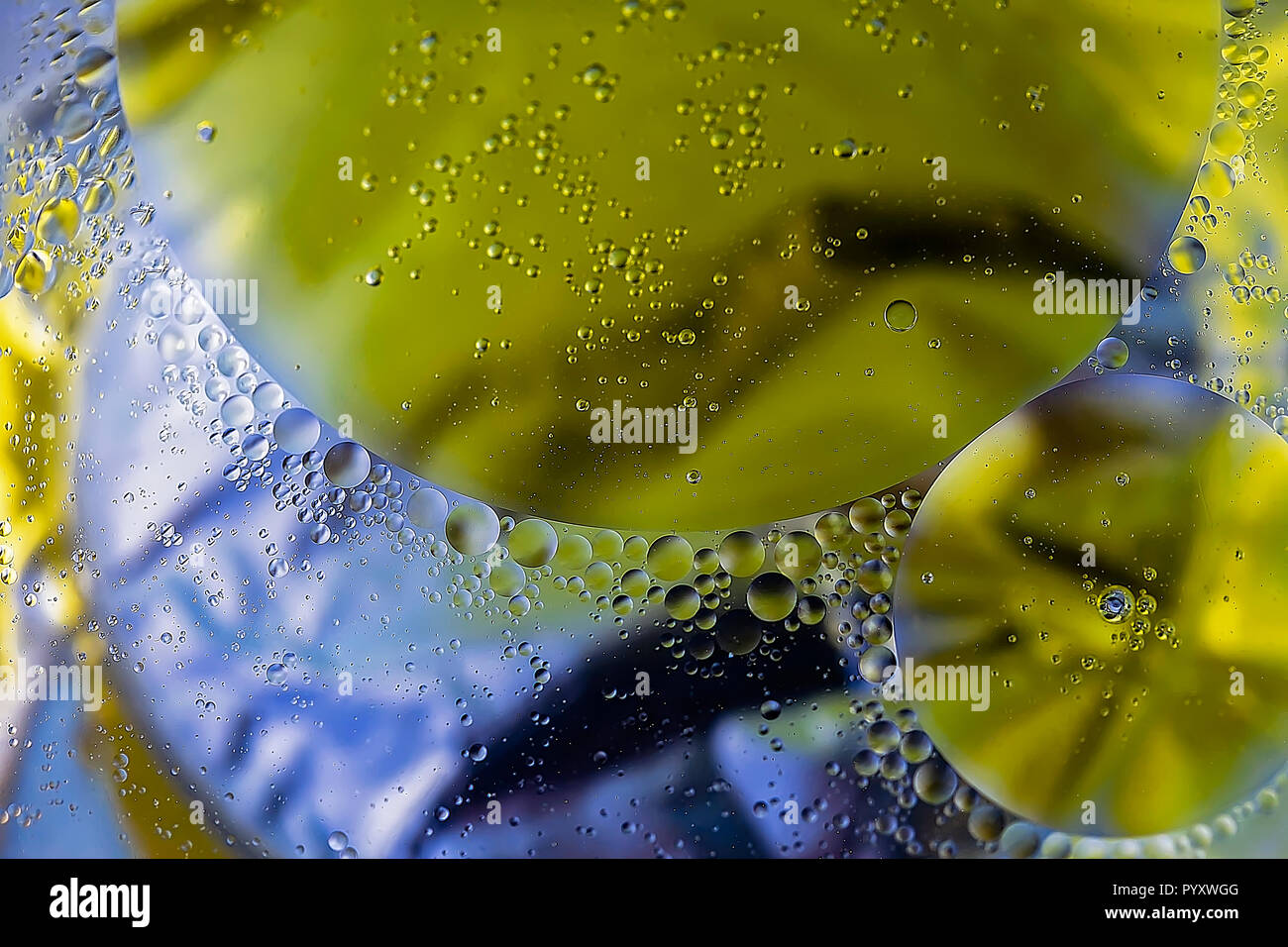 Oil In Water. Abstract Molecular Structure. Macro photography .Extreme Close-up. Stock Image. Stock Photo