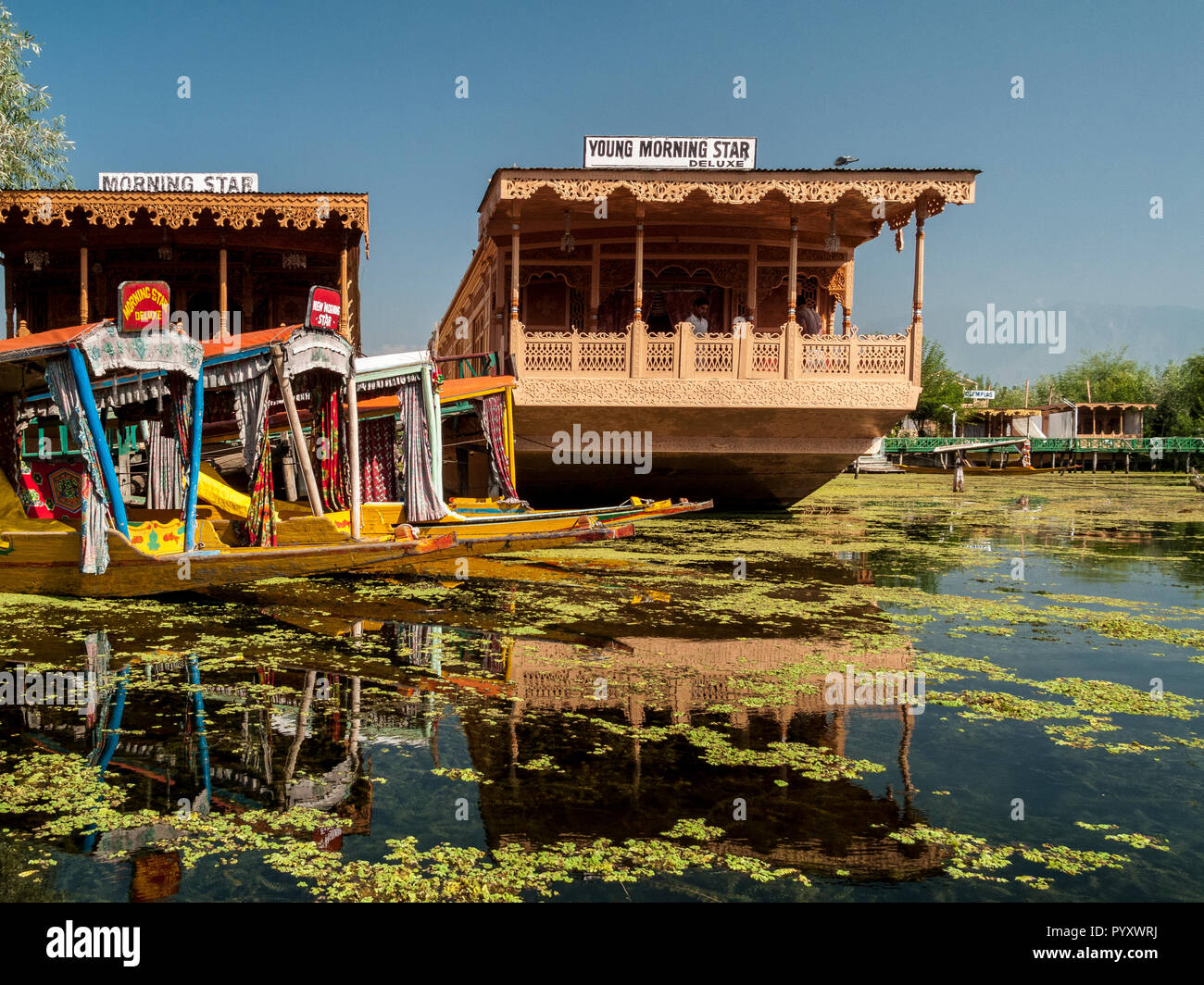 Houseboots on Dal Lake are most popular to accomodate tourists in Srinagar Stock Photo