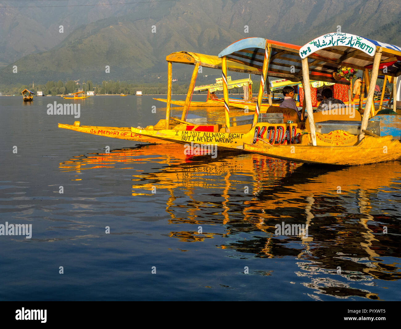 Shikaras are the common transport for people and goods on Dal Lake Stock Photo